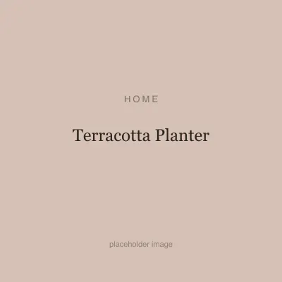 Terracotta Planter